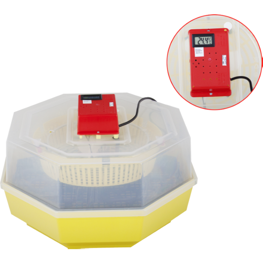 Incubator Electric Cleo-5 cu Termohigrometru - Capacitate 60 Ouă Găină sau 150 Ouă Prepeliță