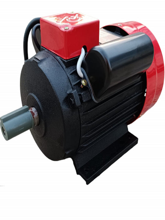 Motor Electric Yamamoto Y100L-2 - 3 kW, 3000 rot/min, 230 V, Industrial și Comercial